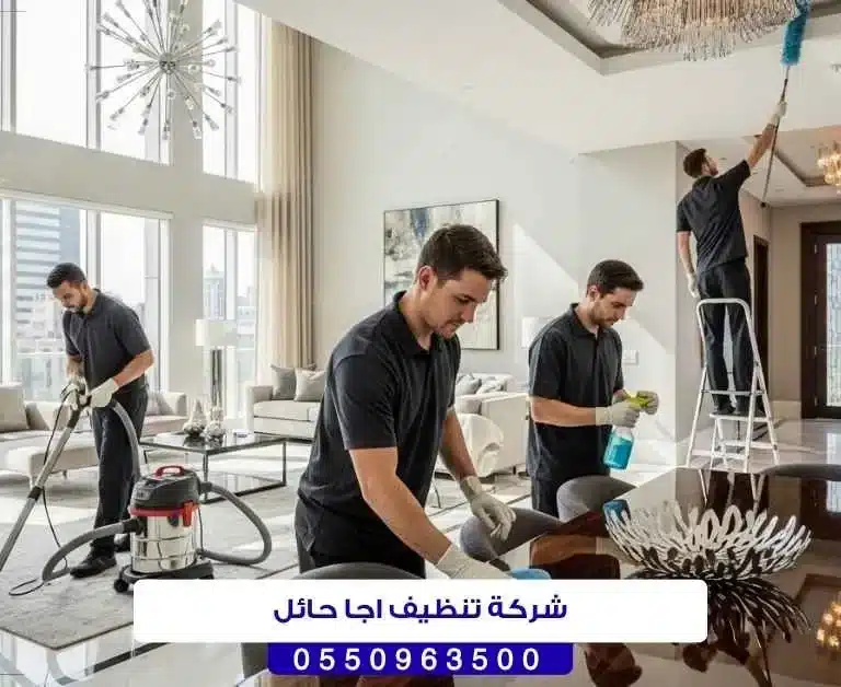 شركة تنظيف اجا حائل