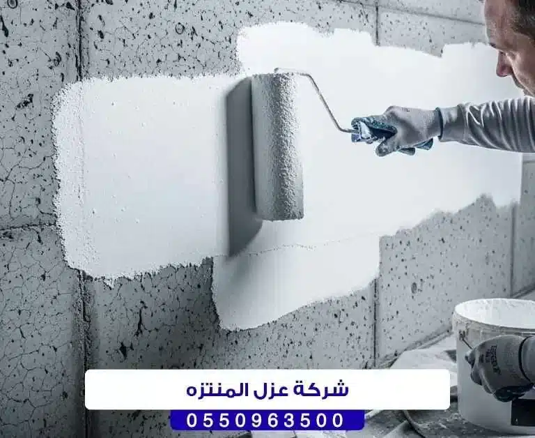 شركة عزل المنتزه بحائل