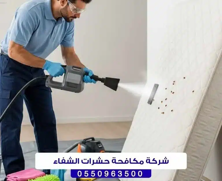 شركة مكافحة حشرات الشفاء حائل