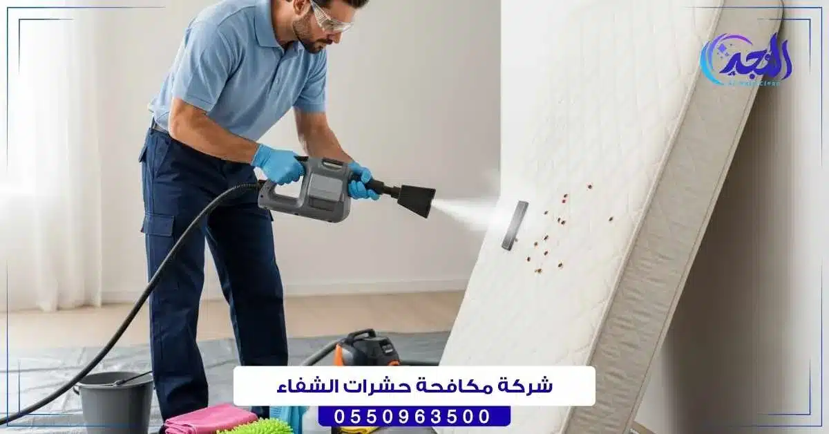 شركة مكافحة حشرات الشفاء حائل