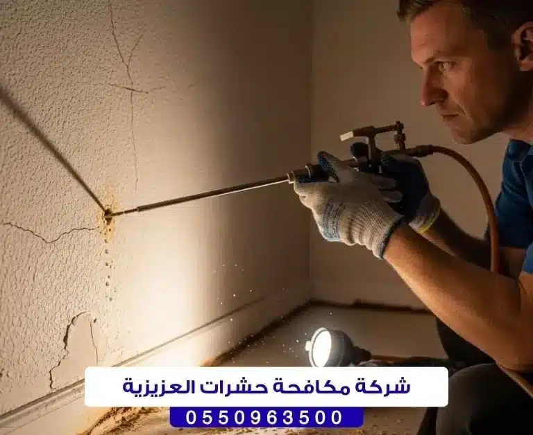 شركة مكافحة حشرات العزيزية حائل
