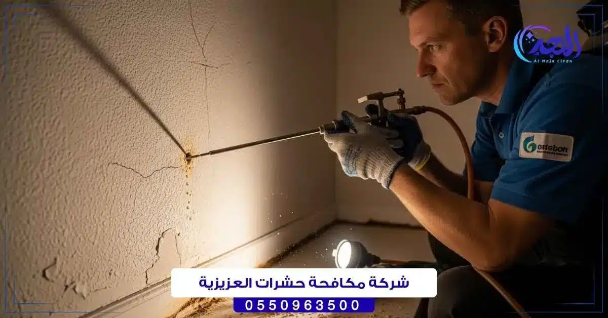 شركة مكافحة حشرات العزيزية حائل