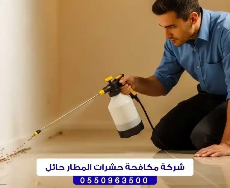 شركة مكافحة حشرات المطار حائل