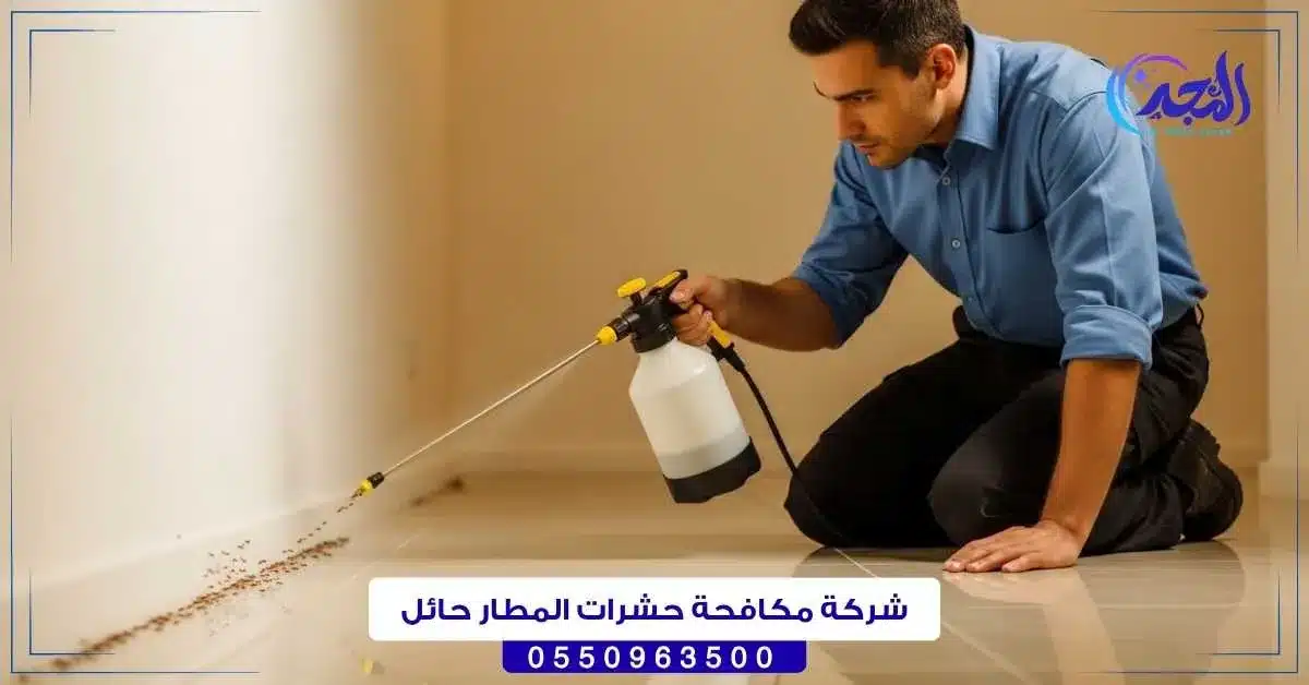 شركة مكافحة حشرات المطار حائل