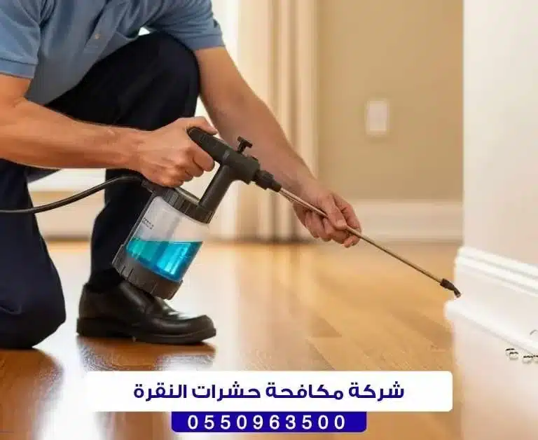 شركة مكافحة حشرات النقرة حائل
